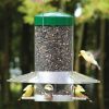 Hanging Bird Feeder with Baffle/Weather Guard - 12"