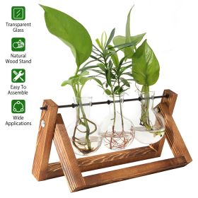 mothers day gifts-Desktop Glass Planter Bulb Plant Terrarium with Wooden Stand - Wood