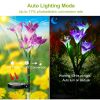 2Pcs Solar Garden Lights Outdoor Lily Flower LED Light 7-Color Changing IP65 Waterproof - Pink & Purple