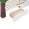 Twin-Over-Twin Bunk Bed with a Tree Decor and Two Storage Drawers - White