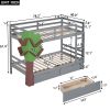 Twin-Over-Twin Bunk Bed with a Tree Decor and Two Storage Drawers - Gray