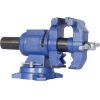 5" Multi-jaw Rotating Bench Vise ,Multipurpose Vise Bench,360-Degree Rotation Clamp on Vise with Swivel Base and Head ,5inch blue - as Pic