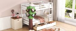 Twin-Over-Twin Bunk Bed with a Tree Decor and Two Storage Drawers - White