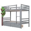 Twin-Over-Twin Bunk Bed with a Tree Decor and Two Storage Drawers - Gray