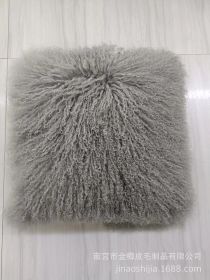 High-grade Fur Beach Wool Pillow (Option: Light Gray-45 X45cm With Core)